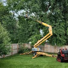 Best Tree and Shrub Care  in Centerville, MN